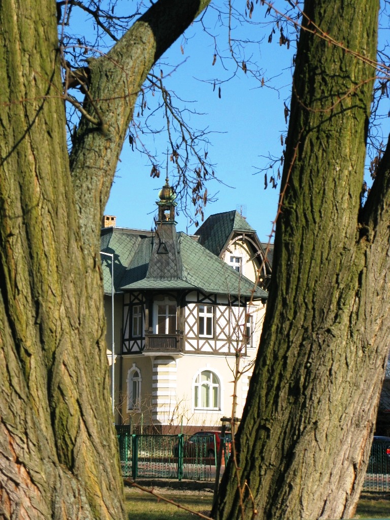 Powiększ zdjęcie. Zabytkowa willa