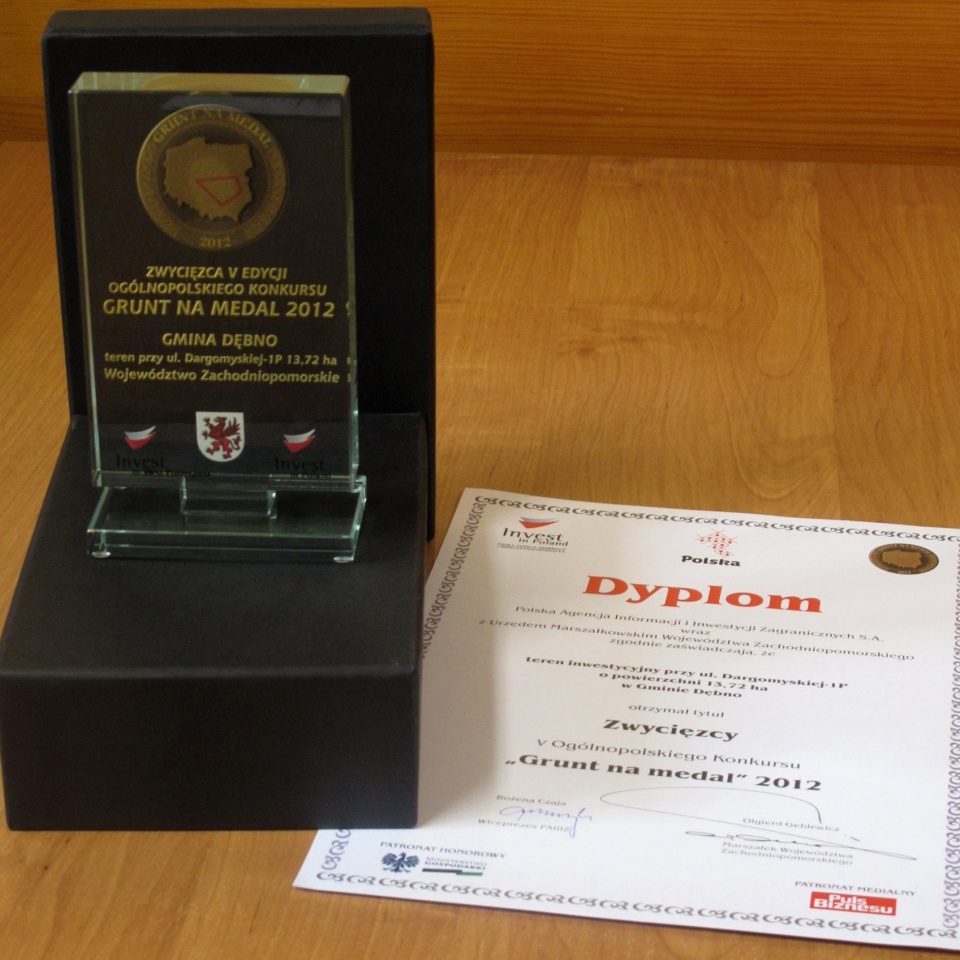 Statuetka i dyplom  "Grunt na medal" 2012