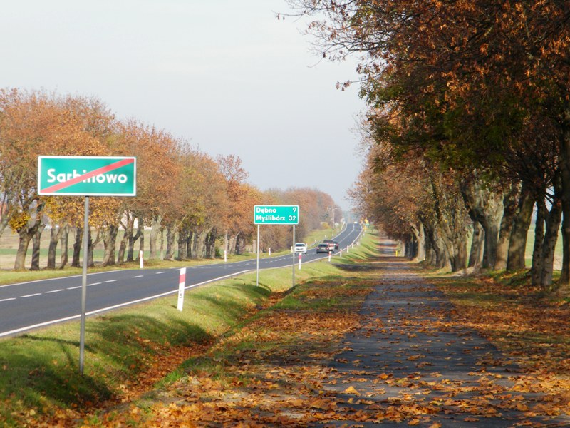 Ścieżka rowerowa w Sarbinowie
