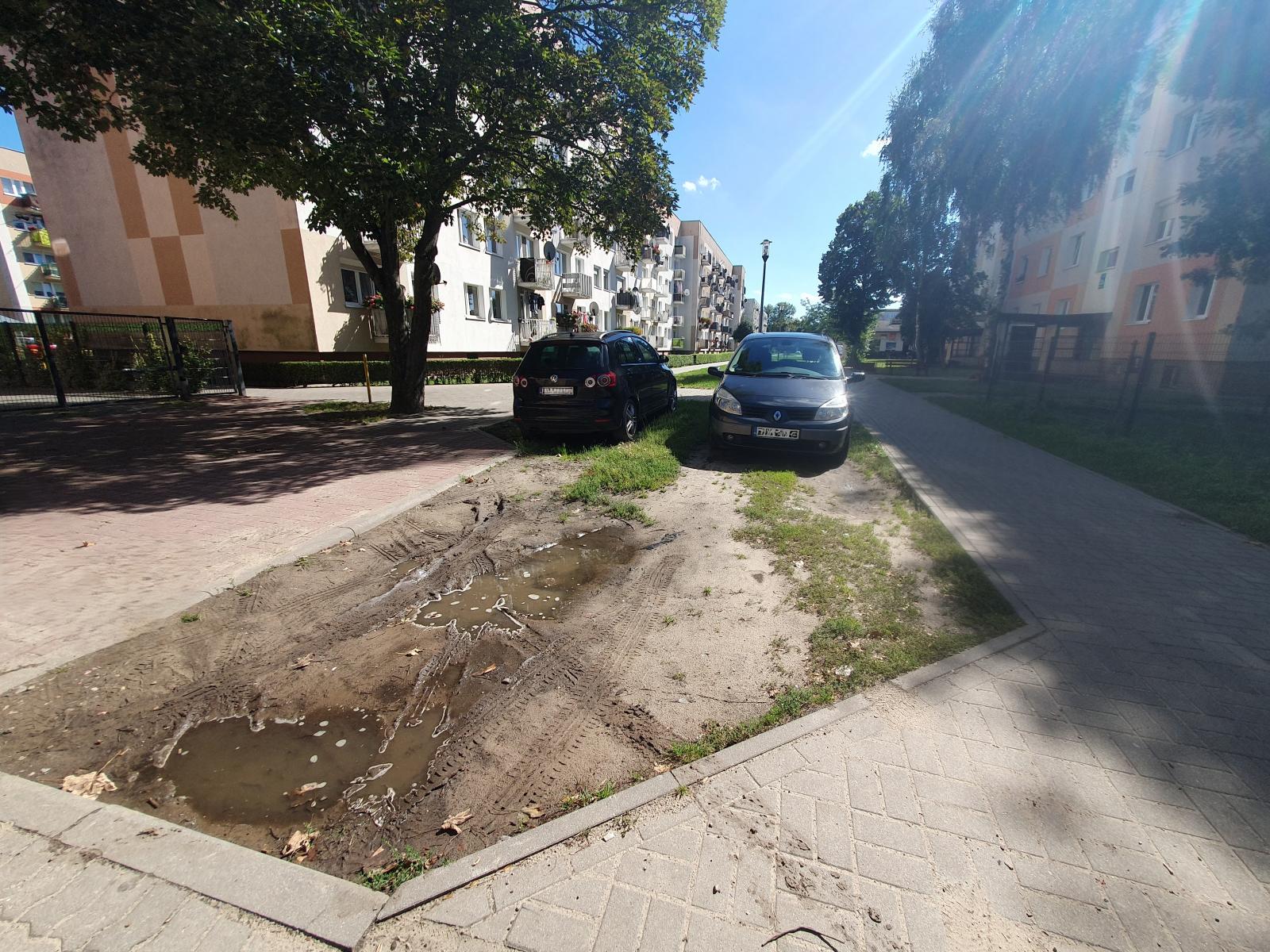 Klomb niezagospodarowany, na którym stoją dwa samochody 
