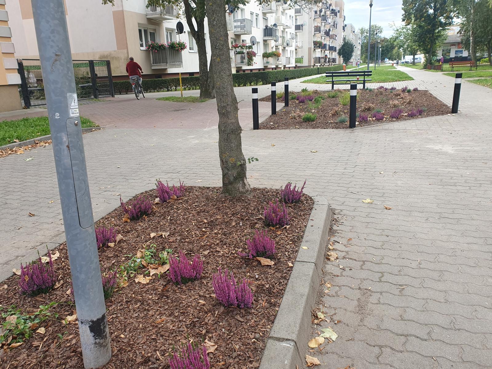 Widok na dwa klomby, po środku słup od lampy 