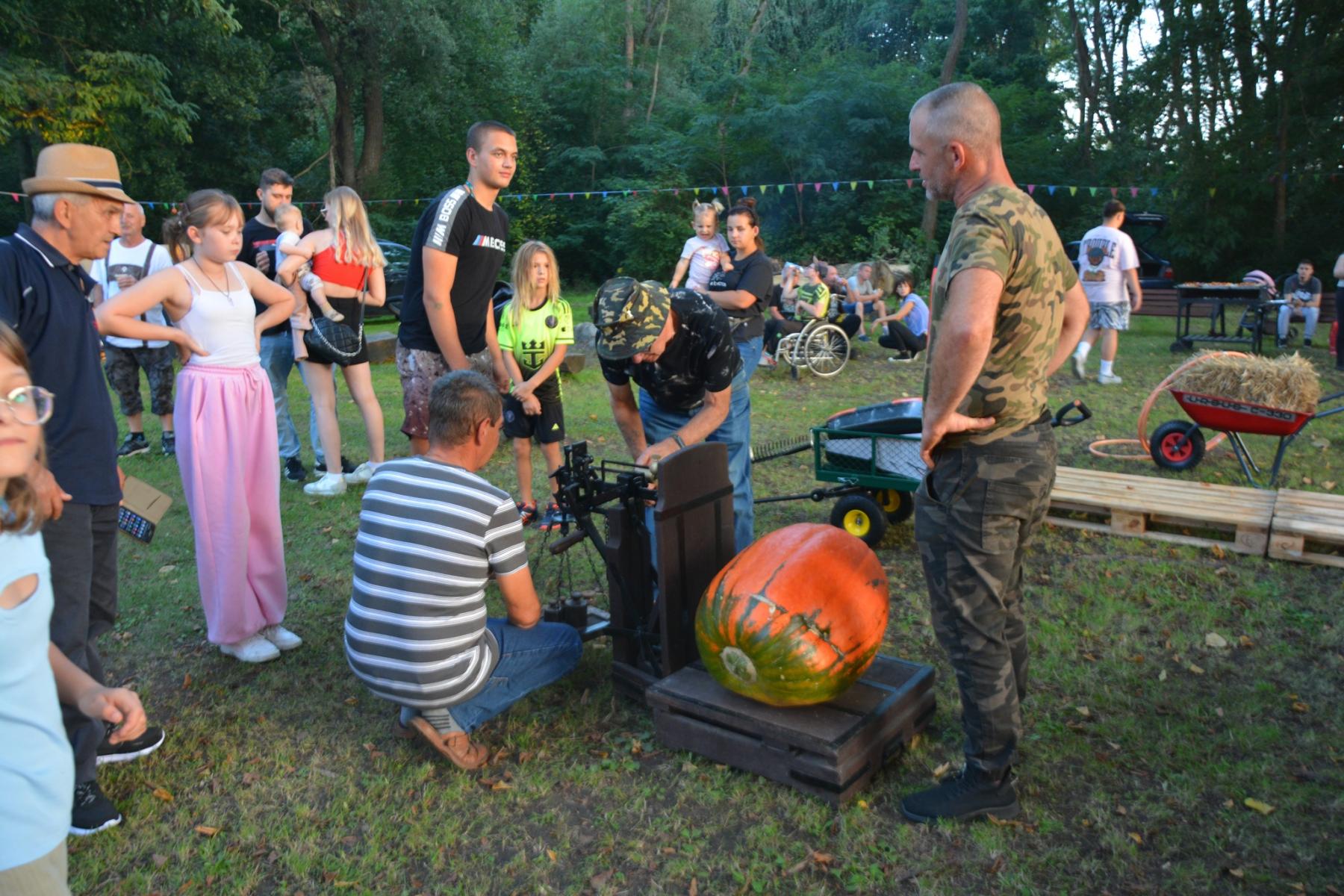 Ludzie stoją i kucają nad bardzo dużą dynią, która leży na wadze