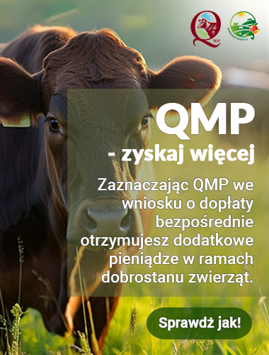 Na plakacie krowa. pełna treść dostpna w informacji