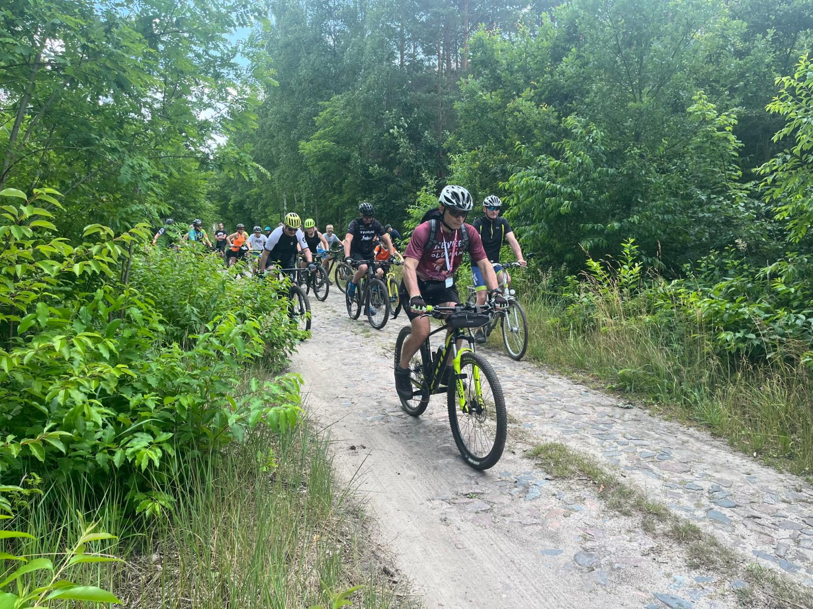 Grupa rowerzystów jedzie na rowerach na drodze leśnej.