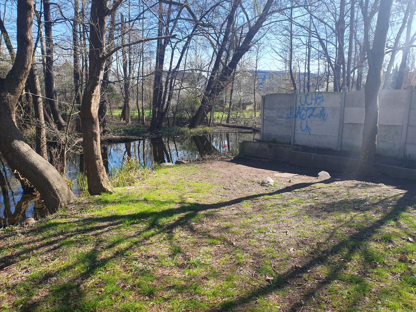 Teren zielony nad rzeczką, płot betonowy, drzewa