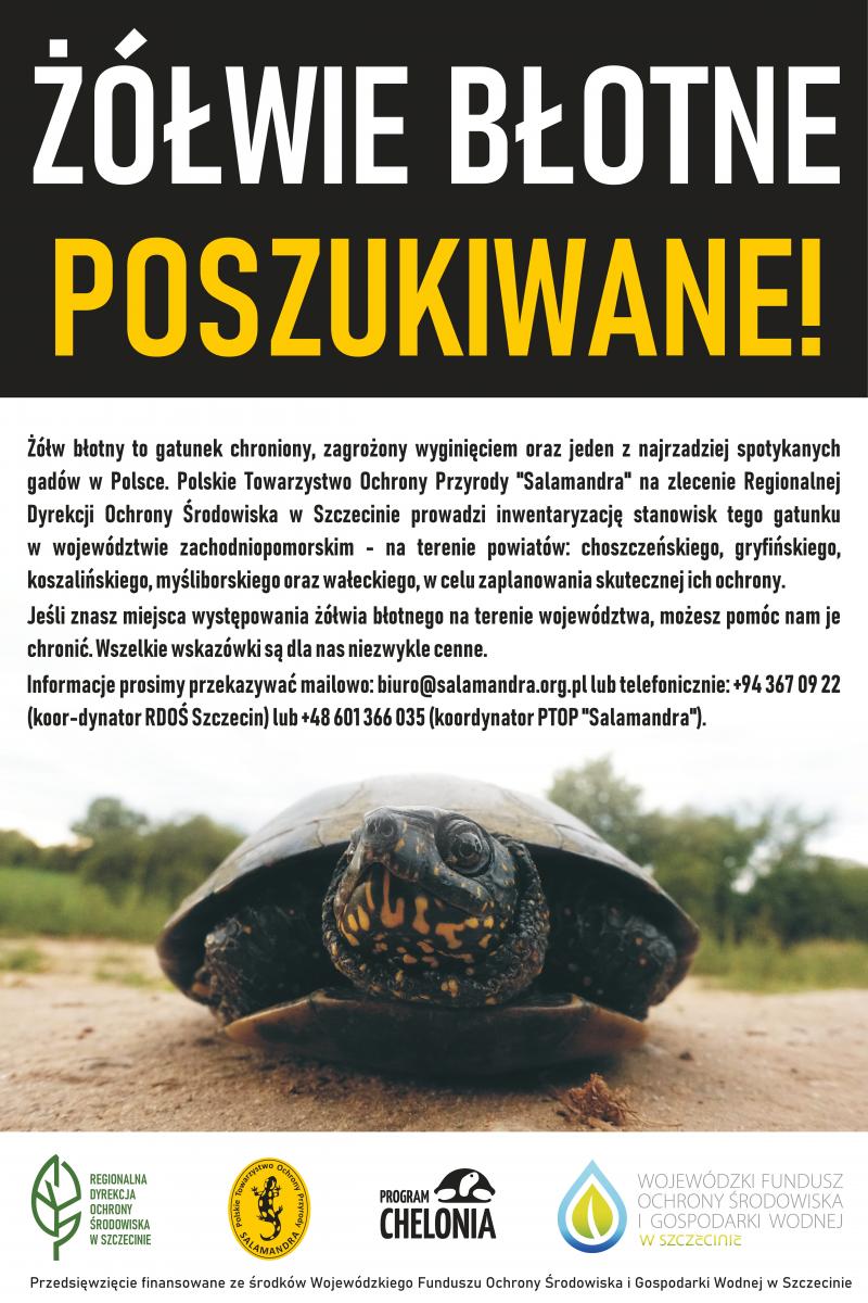 Plakat promujacy projekt. Zdjęcie żółwia i treść dostepna w informacji
