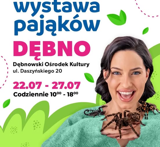 Grafika wystawa pająków