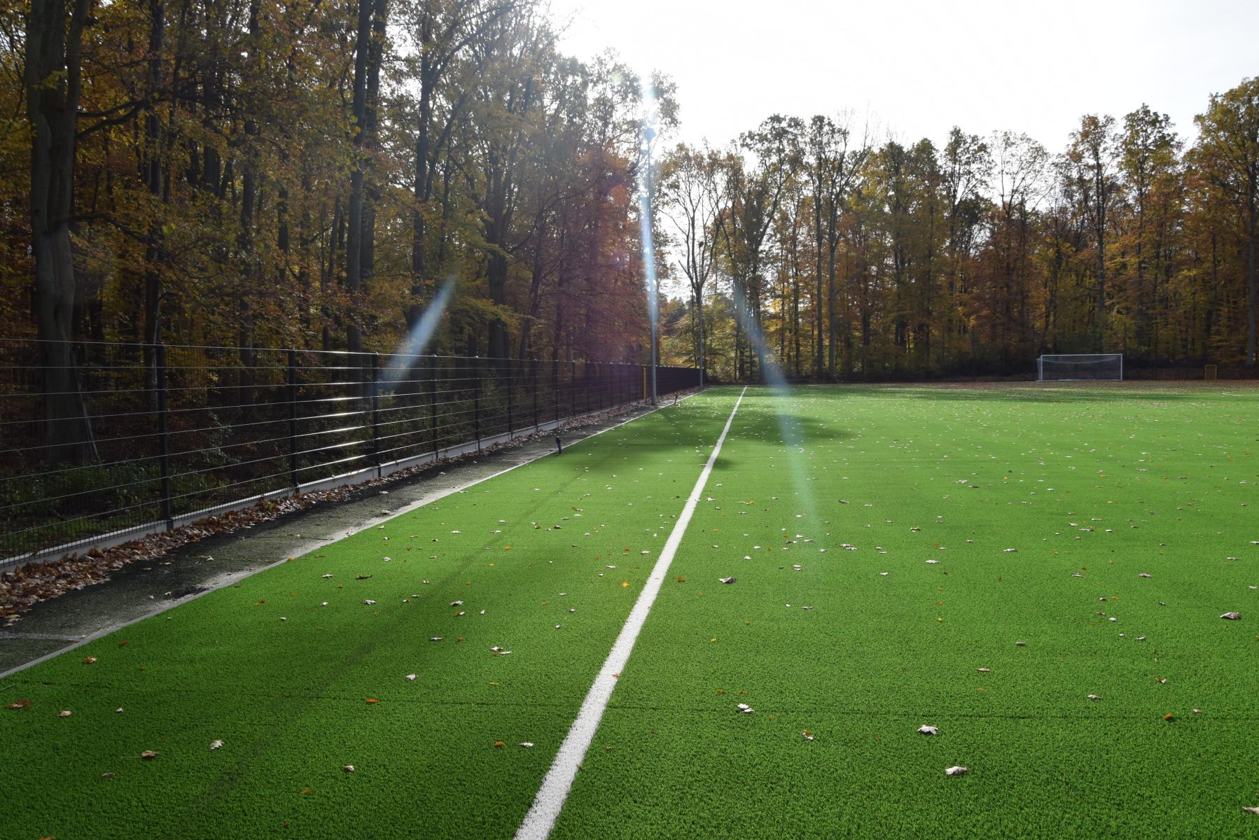 Boisko zielone, ogrodzenie, po lewej stronie drzewa 