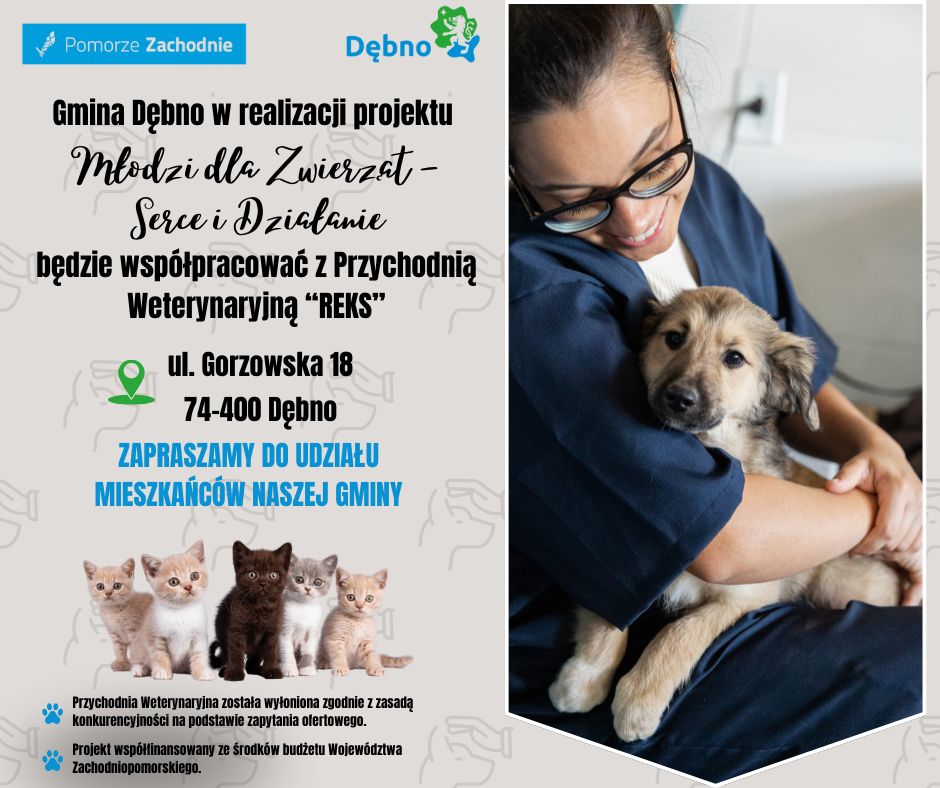 Grafika na zdjęciach kotki i pieski tresć w informacji 
