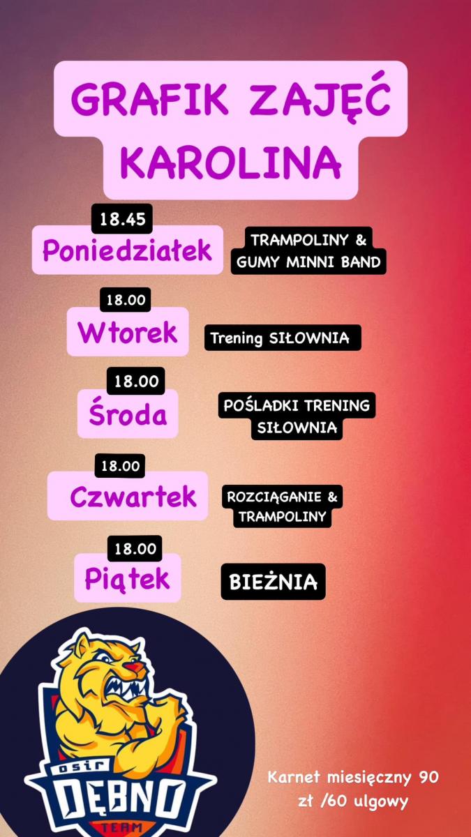 Plakat z graikiem zajęć fitness. pełna treść w informacji