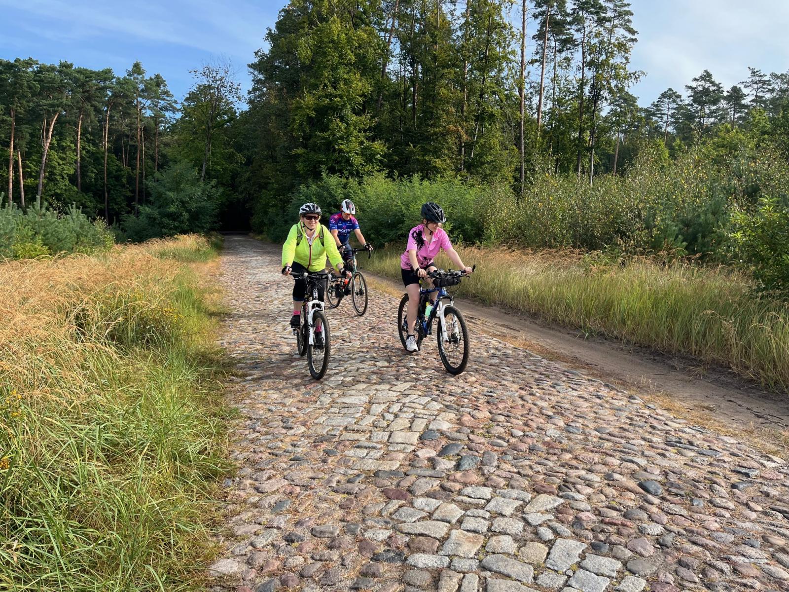 Rowerzyści na szlaku lesnym. 