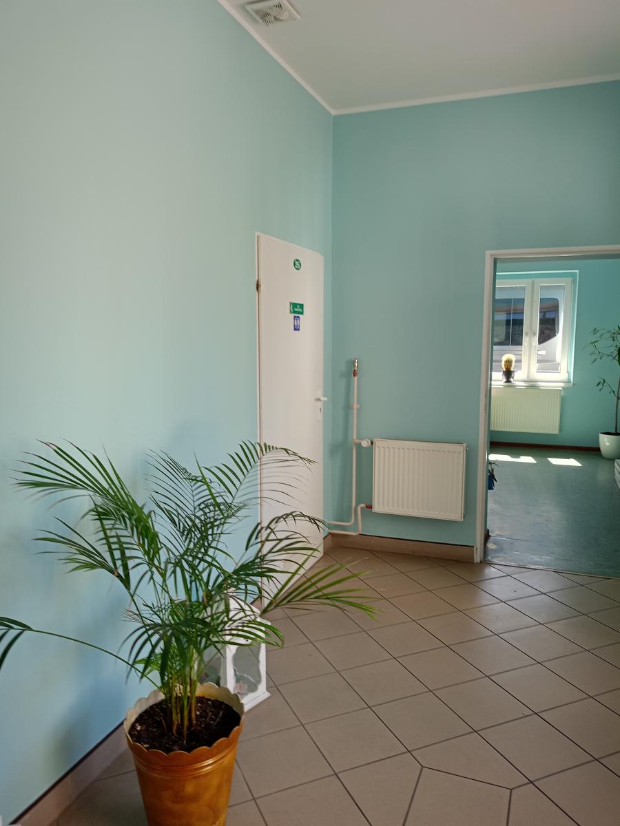 Korytarz pomalowany na zielono, kwiat stoi na podłodze