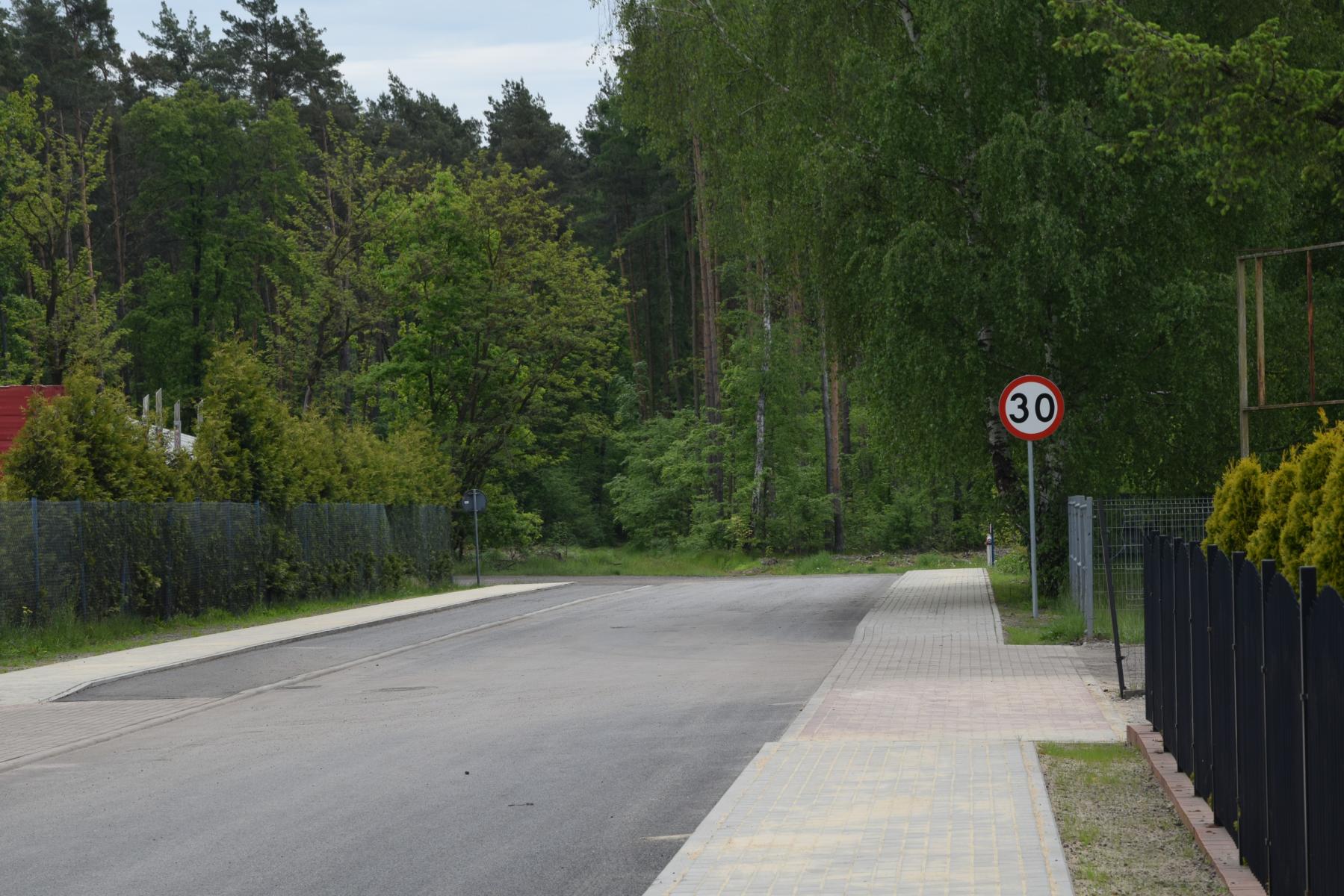 Ulica Leśna, asfaltowa jezdnia, drzewa 