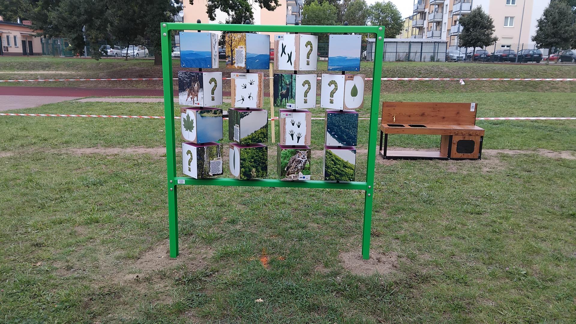 Przekładanka gra na trawiastym placu