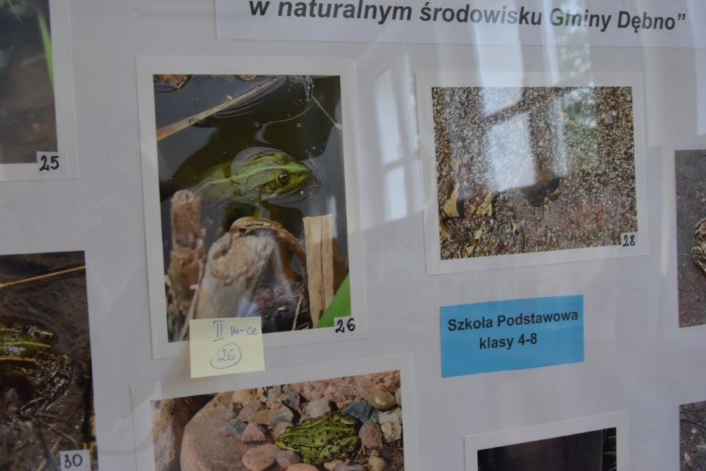 Zdjęcia przyklejona na antyramie 