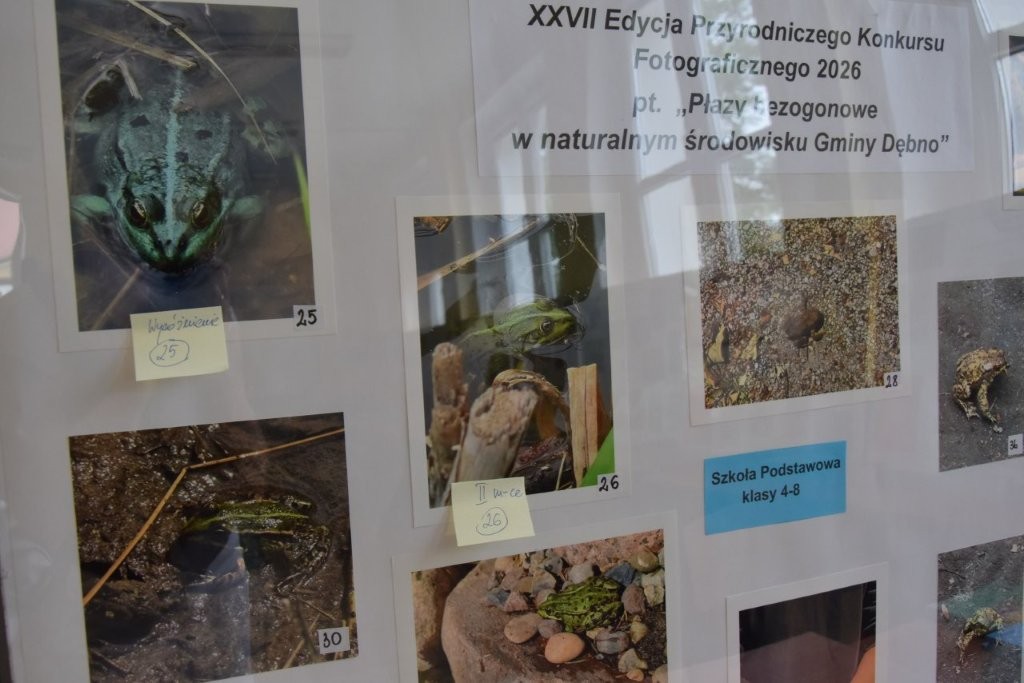 Zdjecia przyklejone na antyramie 