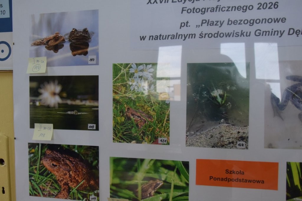 Zdjęcia na antyramie
