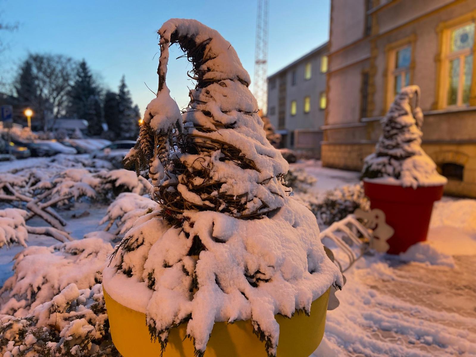 Uplecione skrzaty w doniczkach, przykryte śniegiem 
