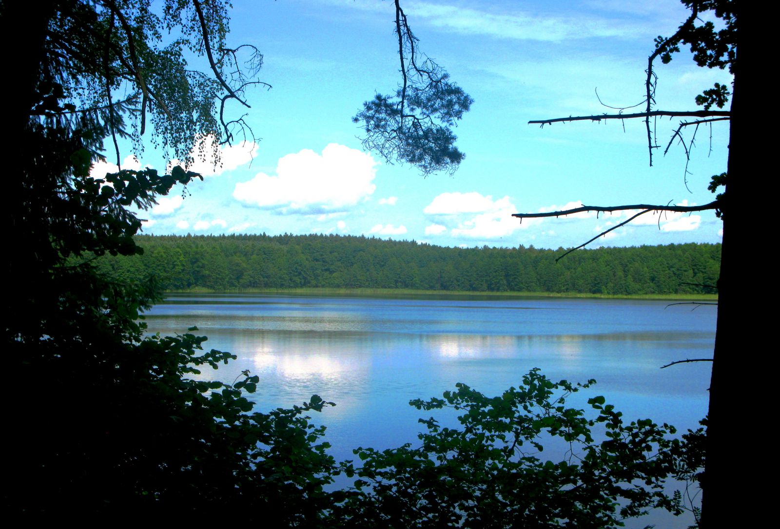 Jezioro Czaple