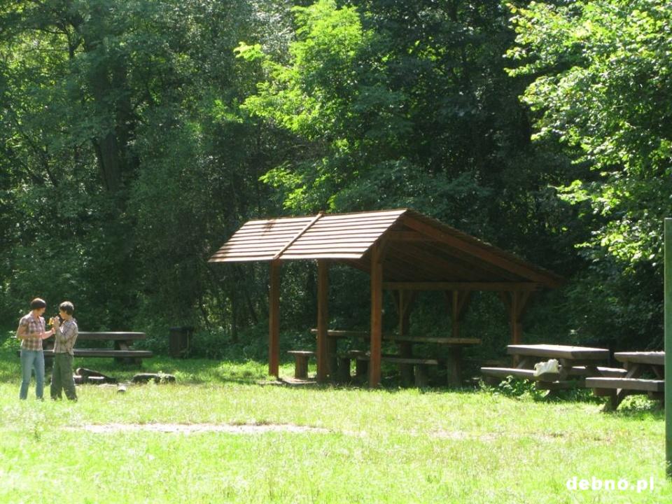 Polana