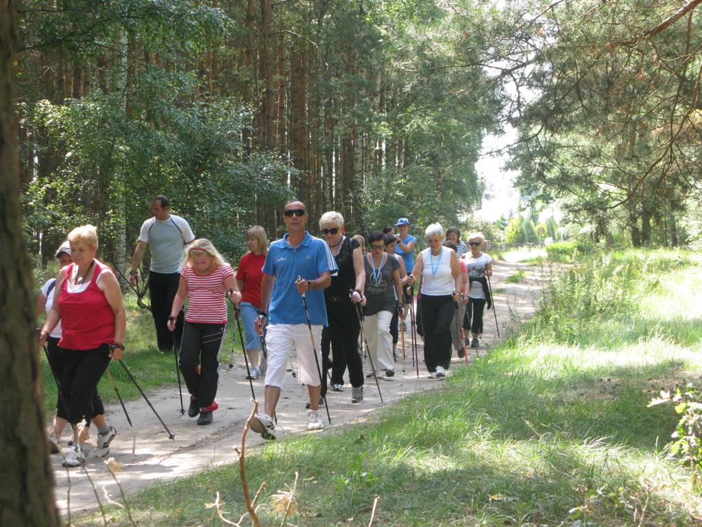 Grupka osób z kijkami na trasie