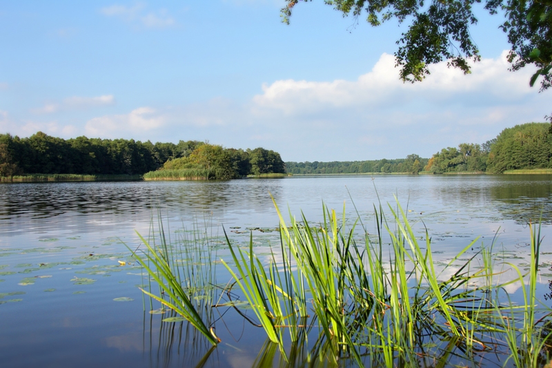 Jezioro Ostrowieckie z wyspą (fot. G. Surlas)
