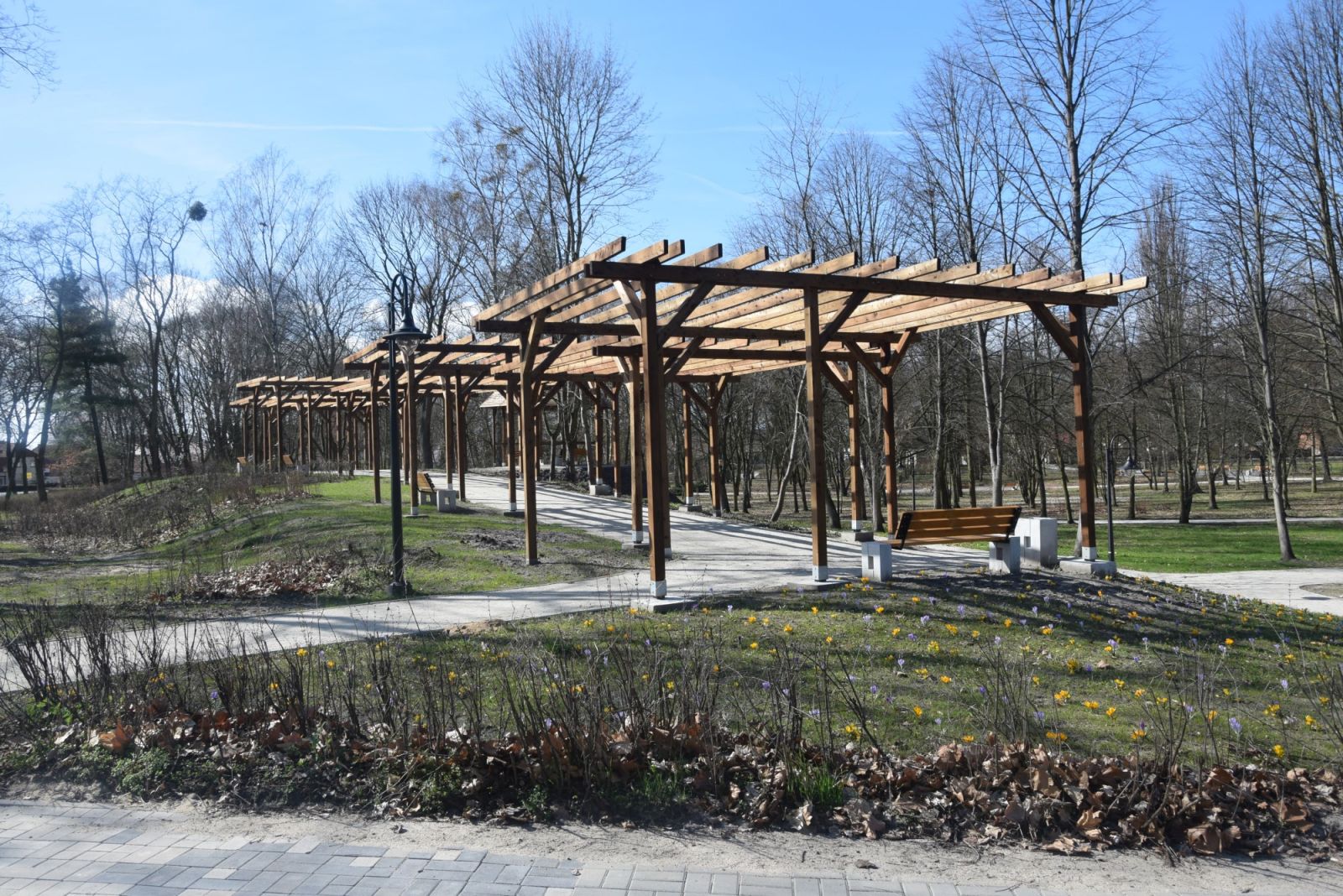 Park miejski wiosną