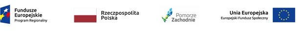 Powiększ logo projektu