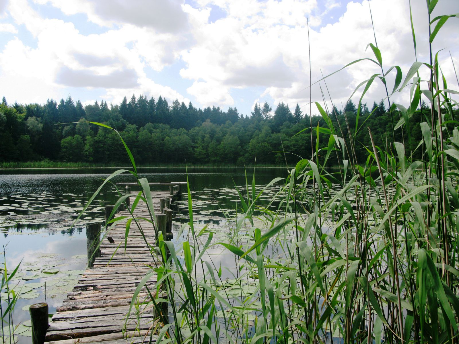 Jezioro Czaple Małe
