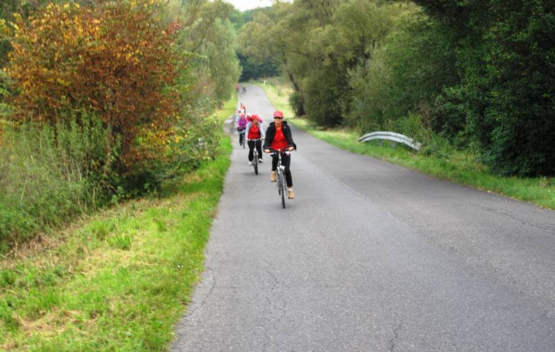 Rowerzyści na trasie rowerowej